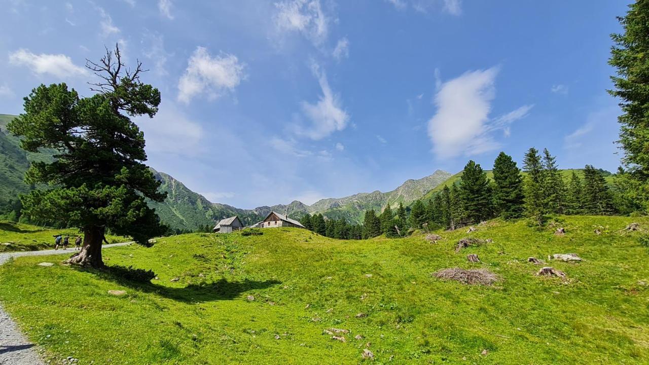 Haus Emmy - Urlaub Bei Freunden Villa Хоентауерн Екстериор снимка