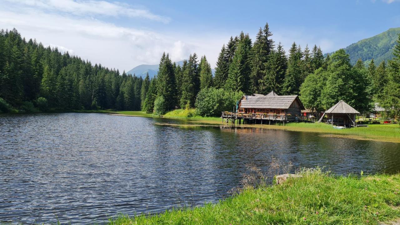 Haus Emmy - Urlaub Bei Freunden Villa Хоентауерн Екстериор снимка